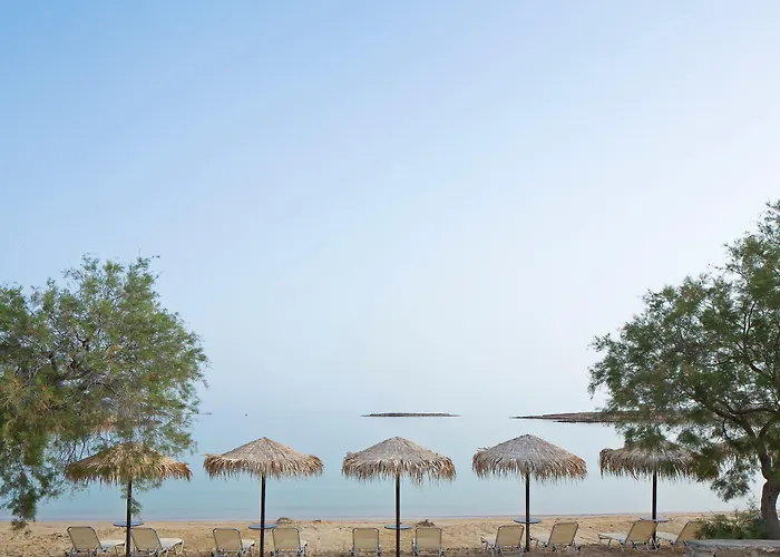 Contaratos 4* Naoussa